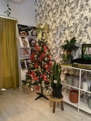 The Botanical Bar by null