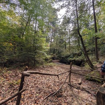 Dismals Canyon - Hiking the Dismals. - Parks Near Me - Phil Campbell, Alabama Dismals Canyon - Hiking the Dismals. - Parks Near Me - Phil Campbell, Alabama