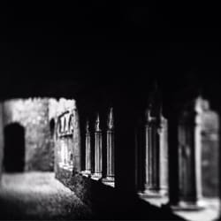 Bective Abbey