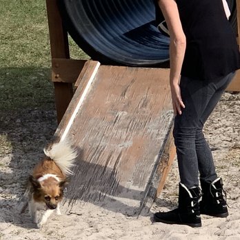 Keysville Dog Park - Dog Parks Near Me - Deltona, Florida Keysville Dog Park - Dog Parks Near Me - Deltona, Florida