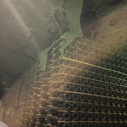 Although eerie looking it's actually very beneficial to have in this environment. Although eerie looking it's actually very beneficial to have in this environment.