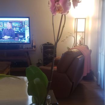 Amigos Flower Shop - Flower is beautiful but not decorated how described on website - Florists Near Me - Whittier, California