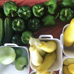 Texarkana Farmers' Market - Even more produce from 4P Farms!