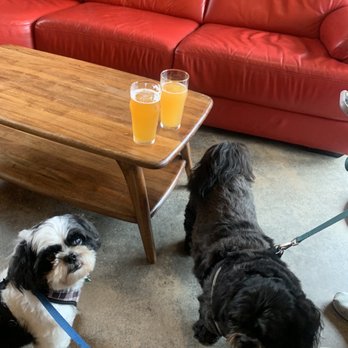 Elation Brewing - Beer and dogs - Pizza Near Me - Norfolk, Virginia Elation Brewing - Beer and dogs - Pizza Near Me - Norfolk, Virginia