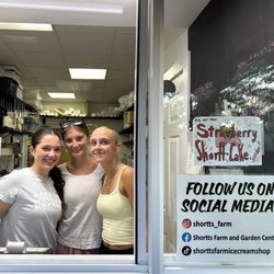 Shortts's Farm & Garden Center - The amazing ice cream team