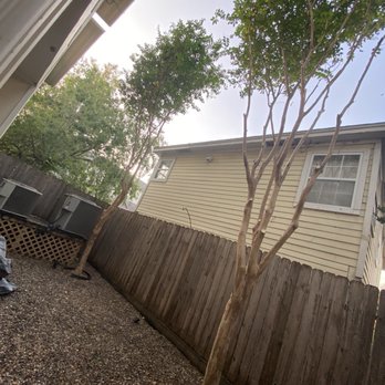 On Point Tree Service - Tree Services Near Me - Katy, Texas On Point Tree Service - Tree Services Near Me - Katy, Texas