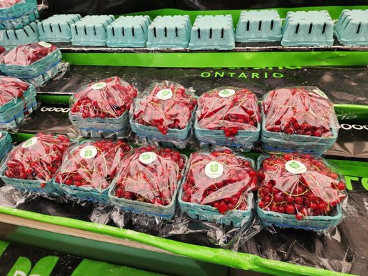 19th Avenue Farmer's Market by null