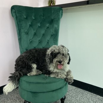 Unleashed Retreat - Pet Boarding Near Me - Houston, Texas