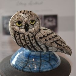 River's Edge Apalachicola - Barred Owl Raku Jar by Robin Rodgers