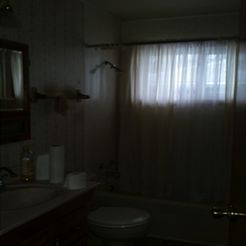 Art Property Management - Property client purchase that need to be renovated  for a rental tenant. Bathroom before renovation. - Property Management Near Me - Chicago, Illinois