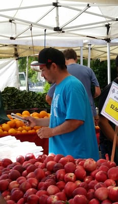 Berryessa Farmers' Market by null