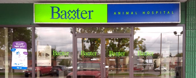baxters animal hospital