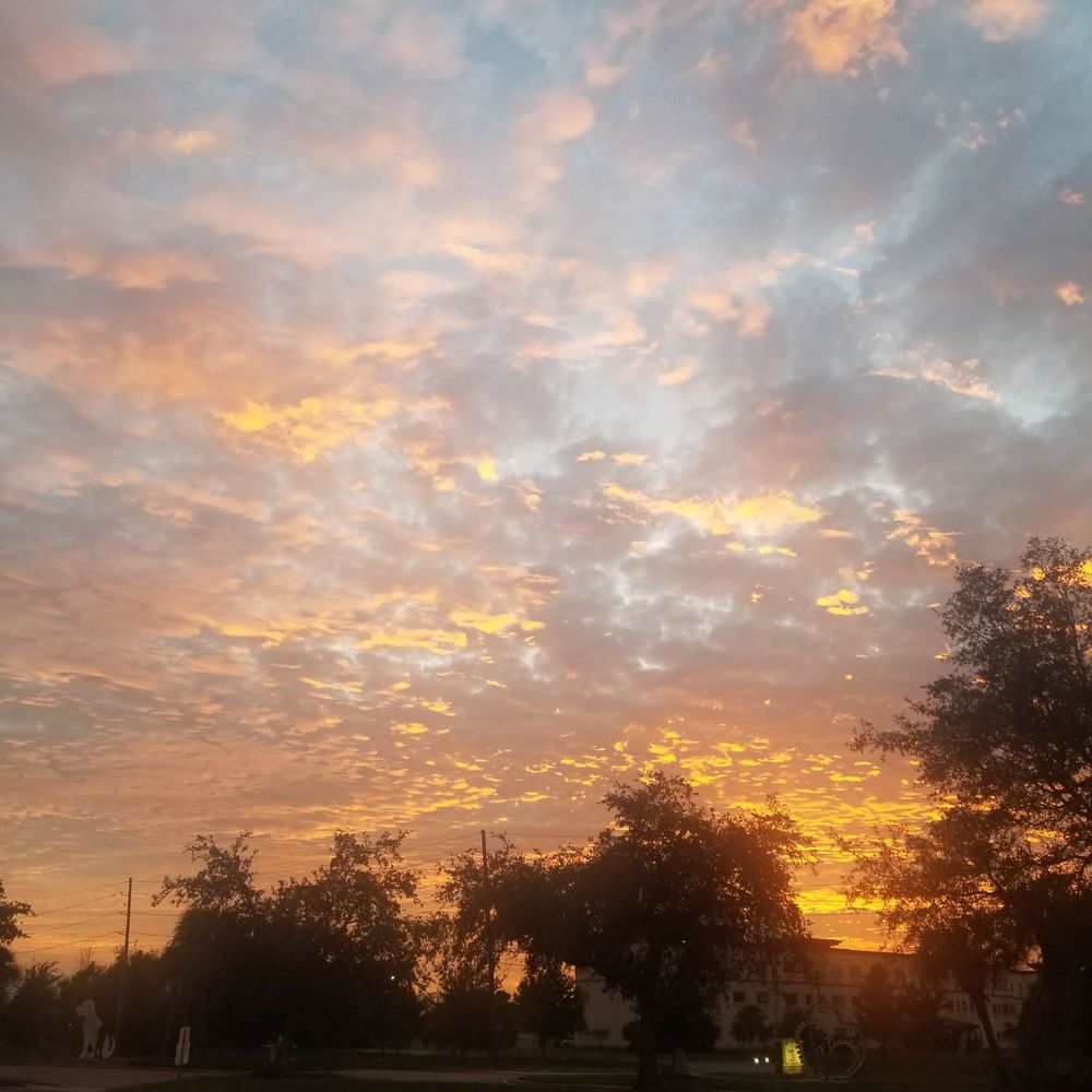 KENNER CITY PARK PAVILION Updated November 2024 119 Photos & 11