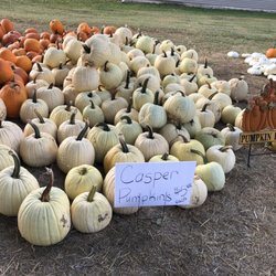 L&K Produce