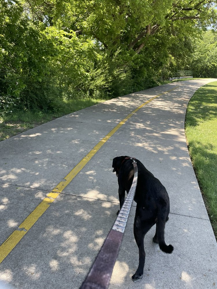 Campbell Canines - pet boarding facility in Richland Hills, TX
