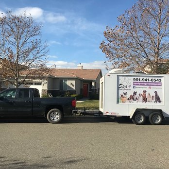 Spa 4 Paws Grooming - Mobile grooming - Pet Groomers Near Me Spa 4 Paws Grooming - Mobile grooming - Pet Groomers Near Me