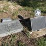 Photo of Pecan Cemetery