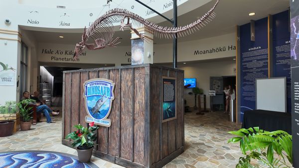 Imiloa Astronomy Center by null