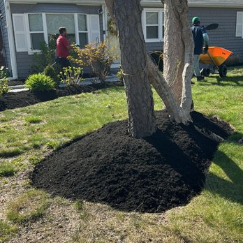 Landmark Tree Service - Landscape Architects or Designers Near Me Landmark Tree Service - Landscape Architects or Designers Near Me