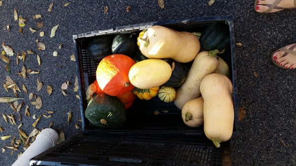 Midtown Farmers Market by null