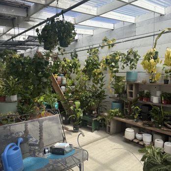 Los Osos Valley Nursery - Nurseries & Gardening Near Me - Los Osos, California