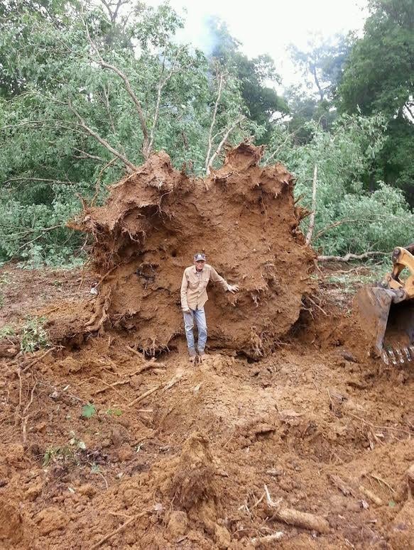 Slide of Collier Excavating
