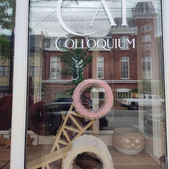 Cat Colloquium - Sometimes cats come downstairs in the window next to Sam's Lumchonette - Community Service/Non-Profit Near Me - Chestertown, Maryland