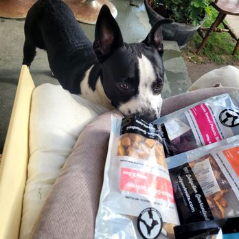 Fluffology - My puppy loves their treats ,and as an owner.I appreciate that they are healthy for him. - Pet Groomers Near Me - North Hollywood, California Fluffology - My puppy loves their treats ,and as an owner.I appreciate that they are healthy for him. - Pet Groomers Near Me - North Hollywood, California