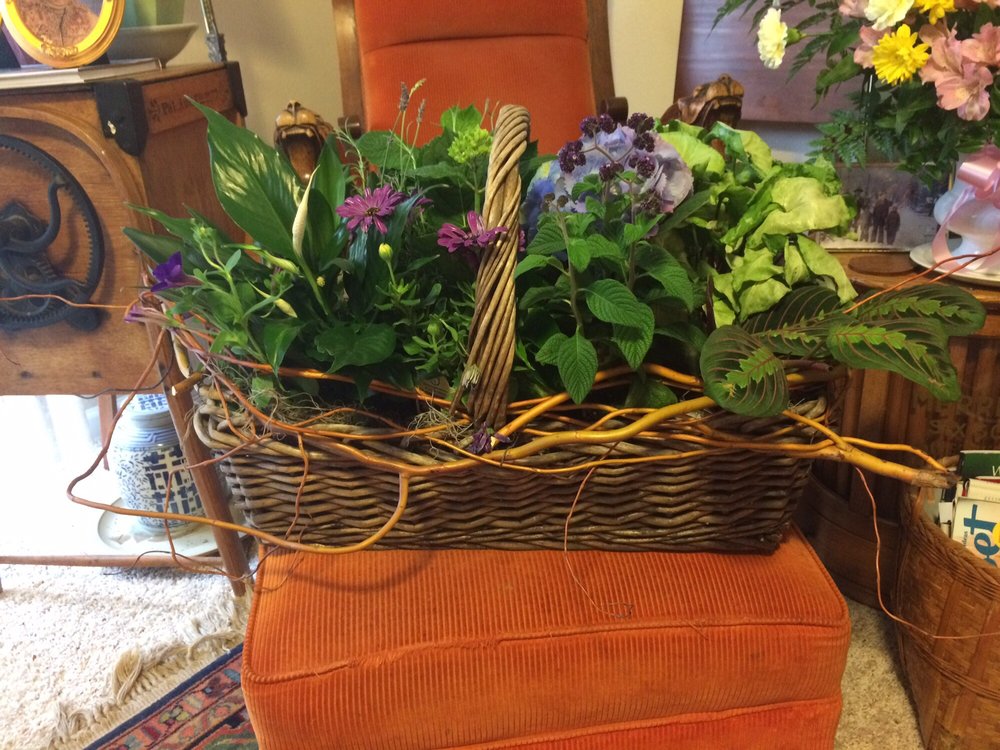 GREEN THUMB FLOWER BOX FLORISTS 10 Reviews 236 Commercial St NE