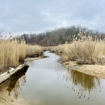 Westmoreland State Park - Fossil Beach - Parks Near Me - Montross, Virginia Westmoreland State Park - Fossil Beach - Parks Near Me - Montross, Virginia