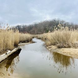 Westmoreland State Park - Fossil Beach