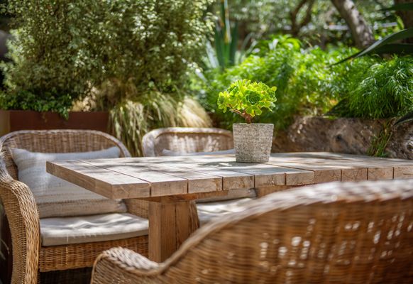 Juniper Lounge and Garden by null