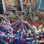 Photo of Tomás Domingo The Bike House