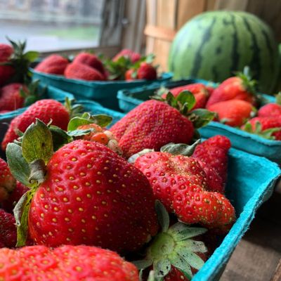 St. Joseph Farm by null