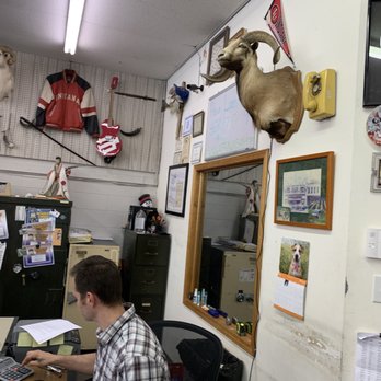 Ace Pawn Shop - Just some animal heads on the wall. We debated exactly which were what but hey, some people like animal heads on their wall, not judging - Pawn Shops Near Me - Bloomington, Indiana Ace Pawn Shop - Just some animal heads on the wall. We debated exactly which were what but hey, some people like animal heads on their wall, not judging - Pawn Shops Near Me - Bloomington, Indiana