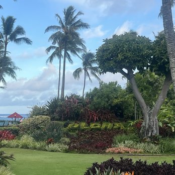 Hukilau Lanai - View from our table! - Seafood Near Me - Kapaa, Hawaii Hukilau Lanai - View from our table! - Seafood Near Me - Kapaa, Hawaii