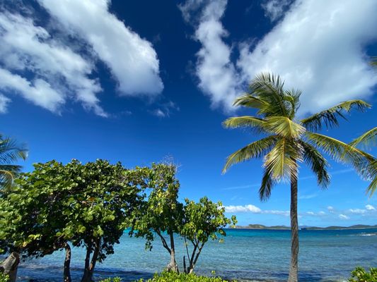Sapphire Beach by null