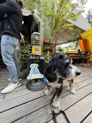 Lightwave Coffee & Kitchen by null