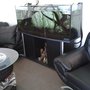 Photo of Serwis Lexusa Toyoty Sciona