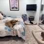 Photo of Doggie Do's Grooming Salon