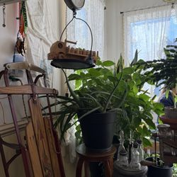 A Slice of Eden