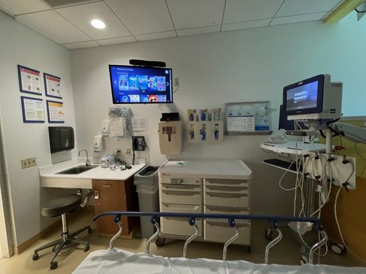 Ann & Robert H. Lurie Children's Hospital of Chicago by null