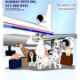 Photo of Runway Pets