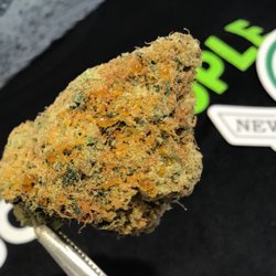 GoodPeople - WiFi OG Live Caviar