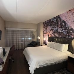 Hotel Indigo Naperville Riverwalk