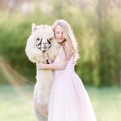 L&R Alpaca Haven Farm