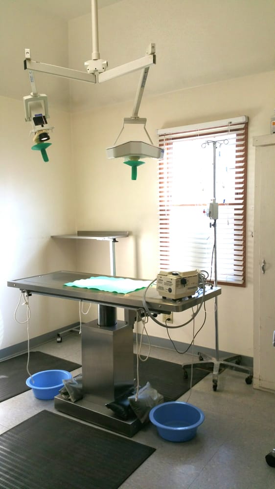 JACOBSON VETERINARY CLINIC Updated August 2024 27 Photos 4145 O