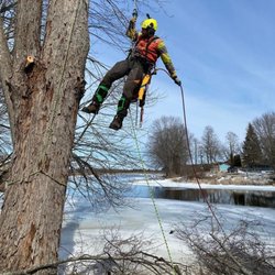 Ruby's Tree Care - Photo