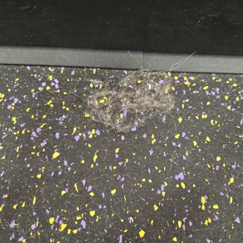 Planet Fitness - dust/hair bunnies on the floor, gross! - Gyms Near Me - Carson City, Nevada