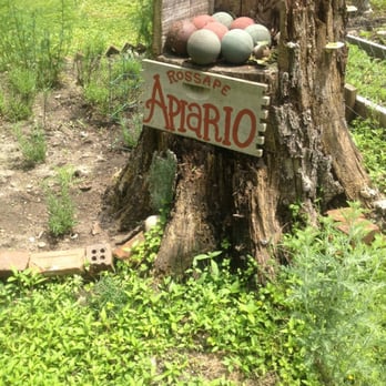 Red Bee Apiary - Specialty Food Near Me Red Bee Apiary - Specialty Food Near Me
